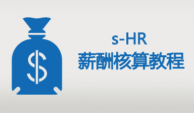 金蝶EAS s-HR薪酬核算2培训视频教程